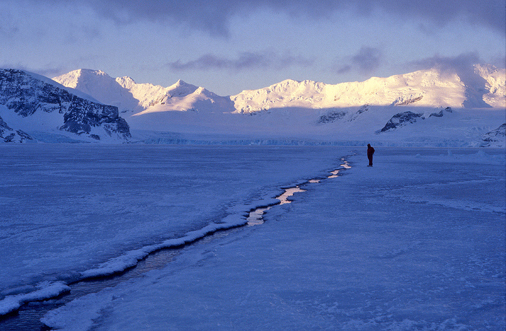 Protecting Earths Food Supply Environment at Risk